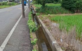 觀音正金橋路農地