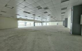 近楊梅交流道挑高SRC廠房/2噸樓板承載/5500KW大電力/12106坪
