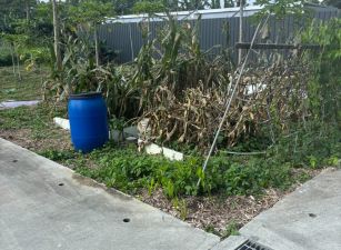 龍潭小坪數雙面臨路農地