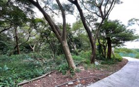 金陵路獅子林商圈農地