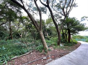 金陵路獅子林商圈農地