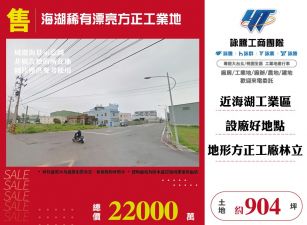 海湖稀有漂亮方正工業地