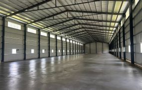 大園台61線/挑高7米/倉庫廠房&bull;	大桃園廠房買賣/工業地/建地/徵收農地/廠房出租