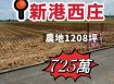 新港西庄農地1208坪