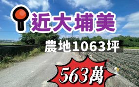 大林油車店農地