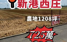 新港西庄農地1208坪