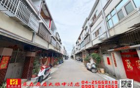 東森房屋大雅中清店-大地坪孝親透天