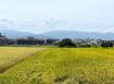 永慶許書豪★宜蘭運動公園旁都計內農地A