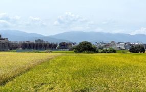 永慶許書豪★宜蘭運動公園旁都計內農地A