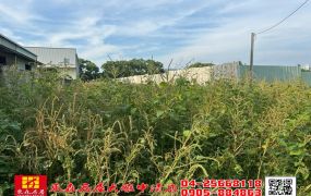 東森房屋大雅中清店-中科40米計劃道路美田