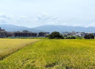 永慶許書豪★宜蘭運動公園旁都計內農地A