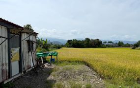 永慶許書豪★宜蘭員山三百多坪老農夫的地