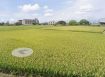 近中央大學便宜都內農地