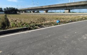 (專)正楊梅台31雙面臨路田