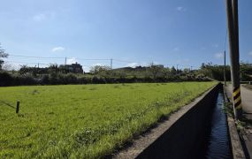 中壢大面寬農地