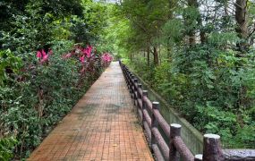 中央大學.百花步道旁.都內農200-510坪任選