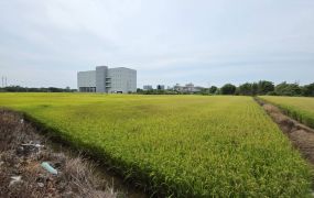 中壢新生路三段旁都內農地