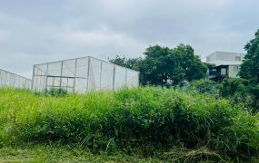 三民路合法農業設施