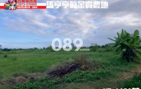 台東房地產｜馬亨亨真金貴農地