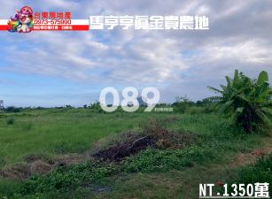 台東房地產｜馬亨亨真金貴農地