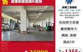 龍潭新穎挑高RC廠房