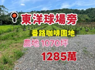 東洋球場旁農地