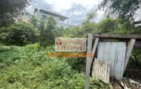 嘉義中埔-後庄永樂市場旁建地