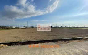 民雄豐收村前後路美農地