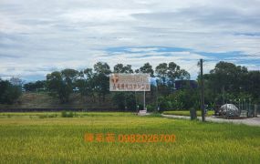 獨賣-民雄田中央美農地