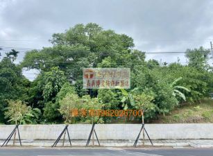 東義路大面寬農地