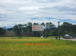 獨賣-民雄田中央美農地