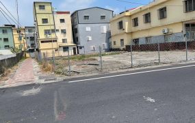 新園雙園大橋下三角窗乙建用地