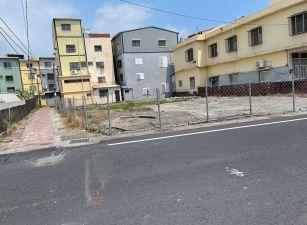 新園雙園大橋下三角窗乙建用地