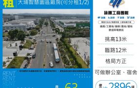 大埔智慧園區廠房(可分租1/2)