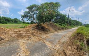 新化北外環744坪休閒美農地