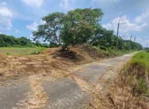 新化北外環744坪休閒美農地