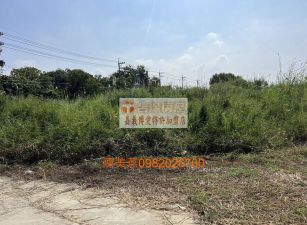 台南東山甲種建築用地+水利用地