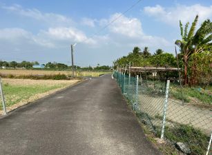 離南科不遠港明177前後路建地