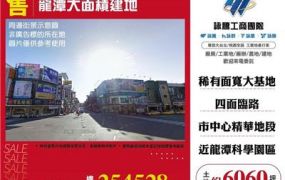 龍潭大面積建地