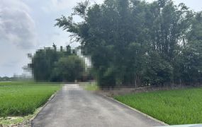 12米大路旁甲建