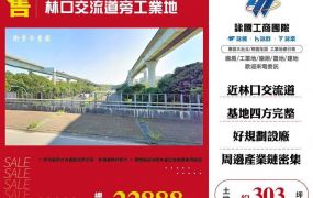 林口交流道旁工業地300
