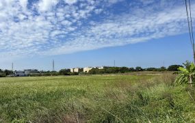 66旁大面積甲建