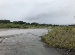三星鄉萬坪丁建