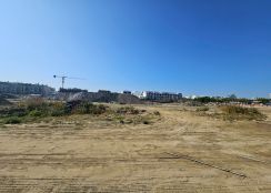 安南果菜市場最優都內農地