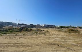 安南果菜市場最優都內農地
