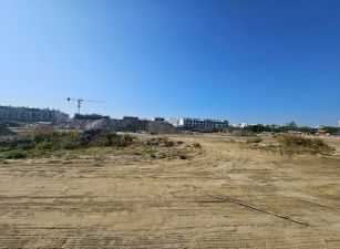 安南果菜市場最優都內農地