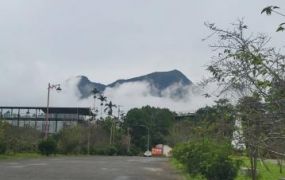 鹿谷石馬公園附近景觀農地＋合法建照