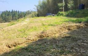 鹿谷石馬公園附近景觀農地＋合法建照