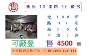 新屋12米路RC廠房