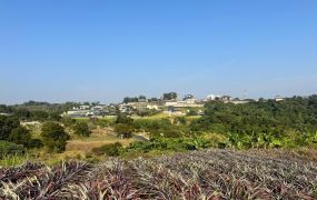 鳥松~ 1.4甲大農地 單坪不用萬元